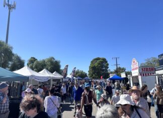 Folk fair returns strong