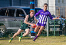 Young dogs seek success