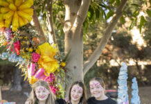 Pirie ready for arts festival