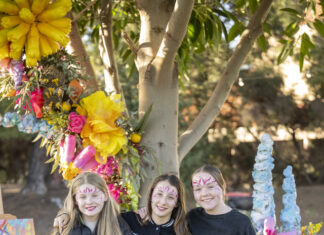 Pirie ready for arts festival