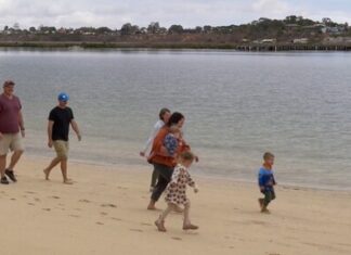 Looking for a sea change?