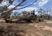 Insurance support returns