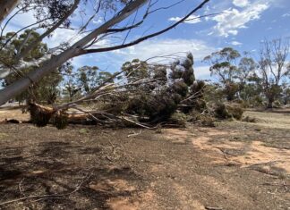 Insurance support returns