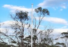 Wandearah flag tribute