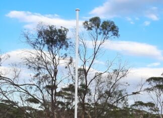 Wandearah flag tribute