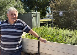 Helping Pirie grow green