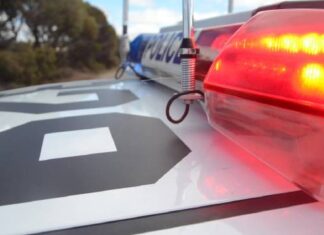 Woman dies after Warnertown crash